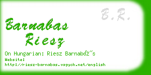 barnabas riesz business card